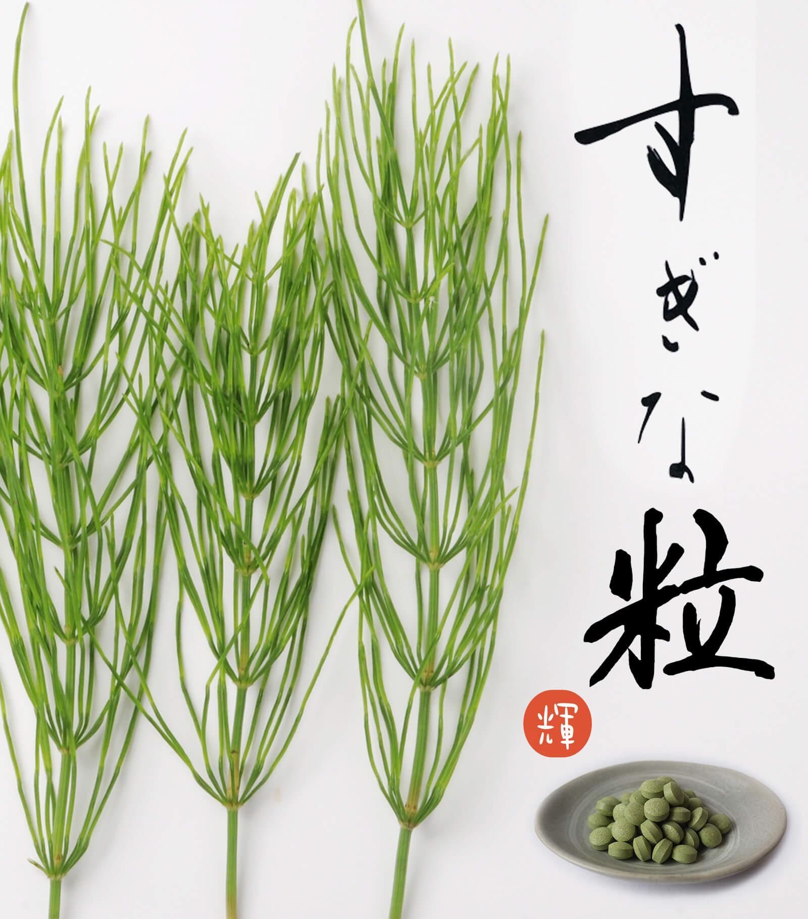 すぎな粒