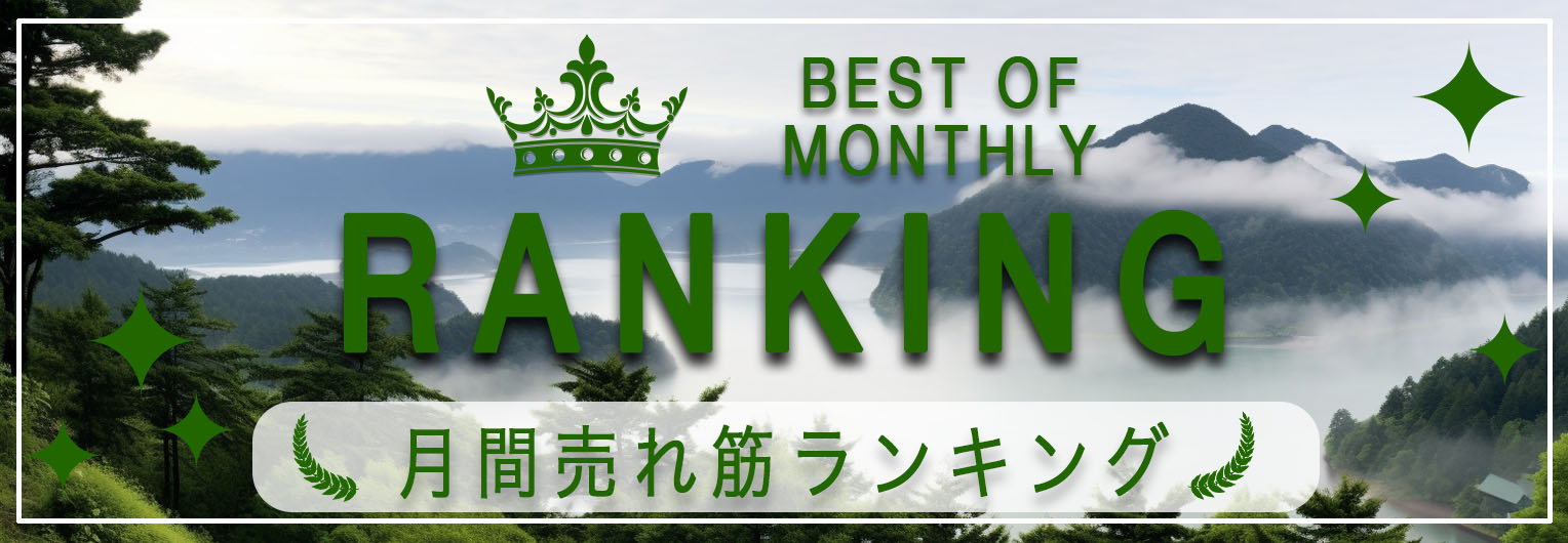 月間売れ筋ランキング